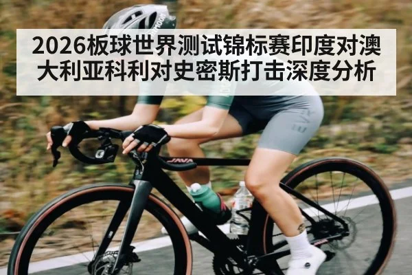 2026板球世界测试锦标赛印度对澳大利亚科利对史密斯打击深度分析