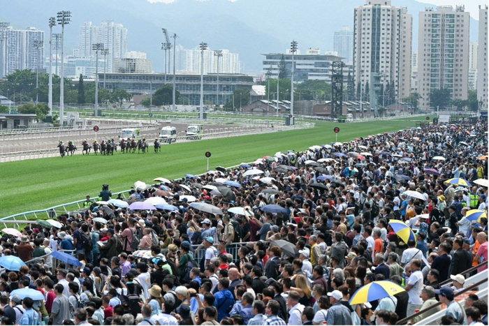 宝威体育app下载-连续三年入选香港盛事年表，这场赛马活动为什么能持续火爆|富卫保险|香港赛马会|赛马会|体育|比赛_新浪体育_新浪新闻